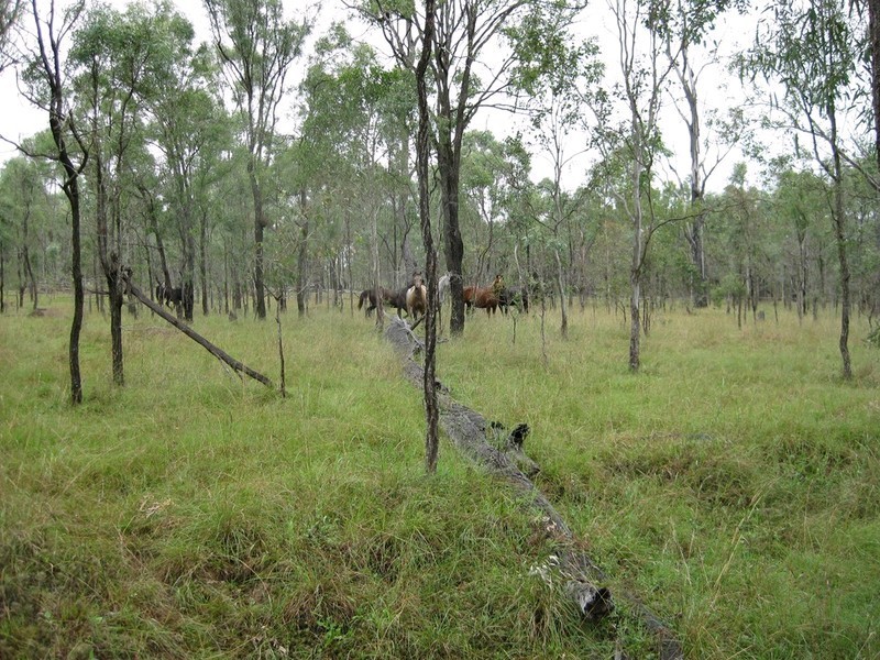 457 Mt Forbes Road, Mount Forbes QLD 4340