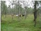 457 Mt Forbes Road, Mount Forbes QLD 4340