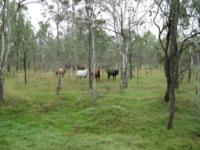 457 Mt Forbes Road, Mount Forbes QLD 4340