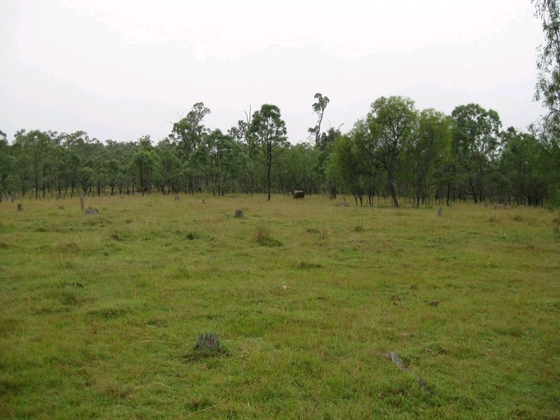 457 Mt Forbes Road, Mount Forbes QLD 4340