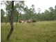 457 Mt Forbes Road, Mount Forbes QLD 4340