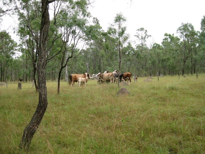 457 Mt Forbes Road, Mount Forbes QLD 4340