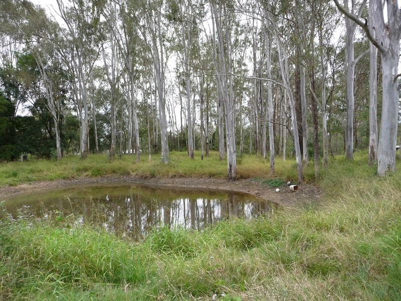86 Poplar Street, Walloon QLD 4306