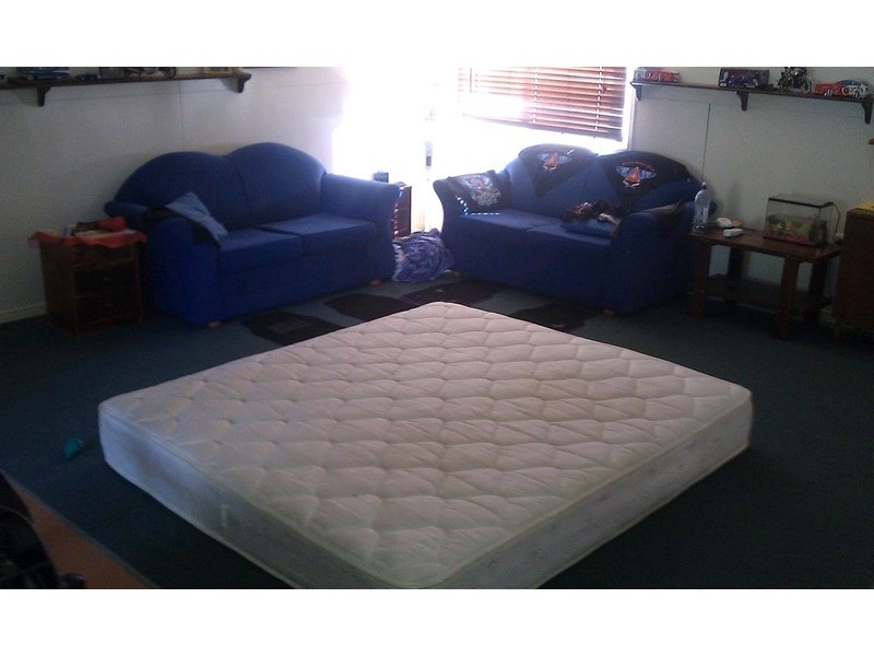 10 Brushbox Place, Walloon QLD 4306