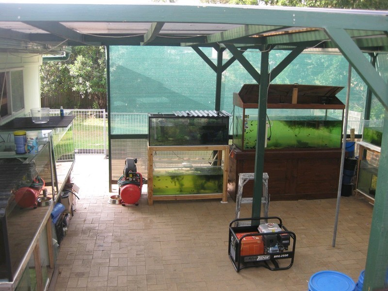 8 Mcnamara Street, Leichhardt QLD 4305