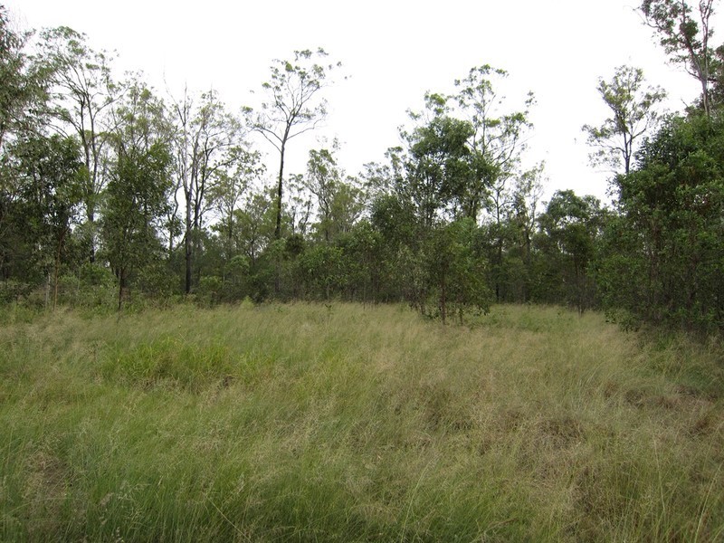 18 Pinot Place, Pine Mountain QLD 4306