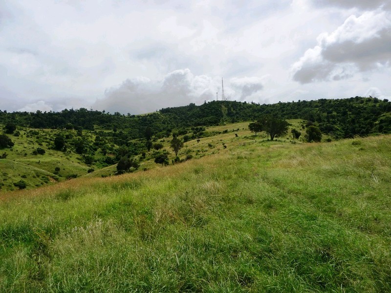 LOT 1 Voss Road, Glamorgan Vale QLD 4306