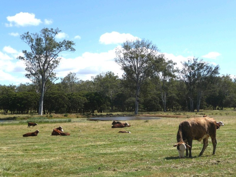 397 Hiddenvale Road, Calvert QLD 4340