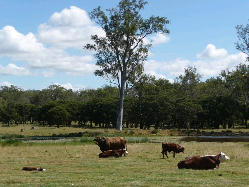 397 Hiddenvale Road, Calvert QLD 4340