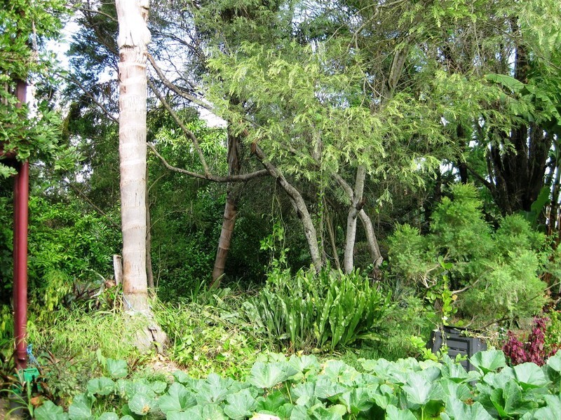 3 Hill Street, North Ipswich QLD 4305