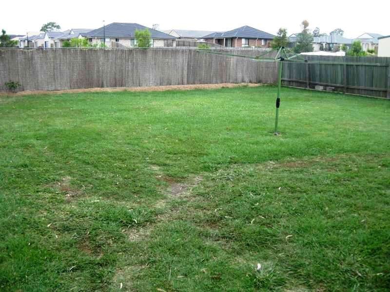 224 Whitehill Road, Raceview QLD 4305