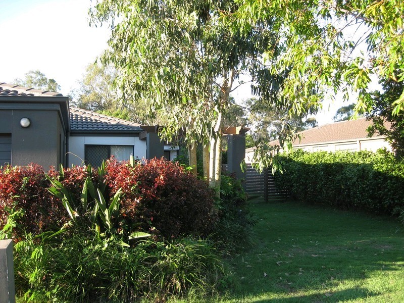 49 Cyperus Crescent, Carseldine QLD 4034