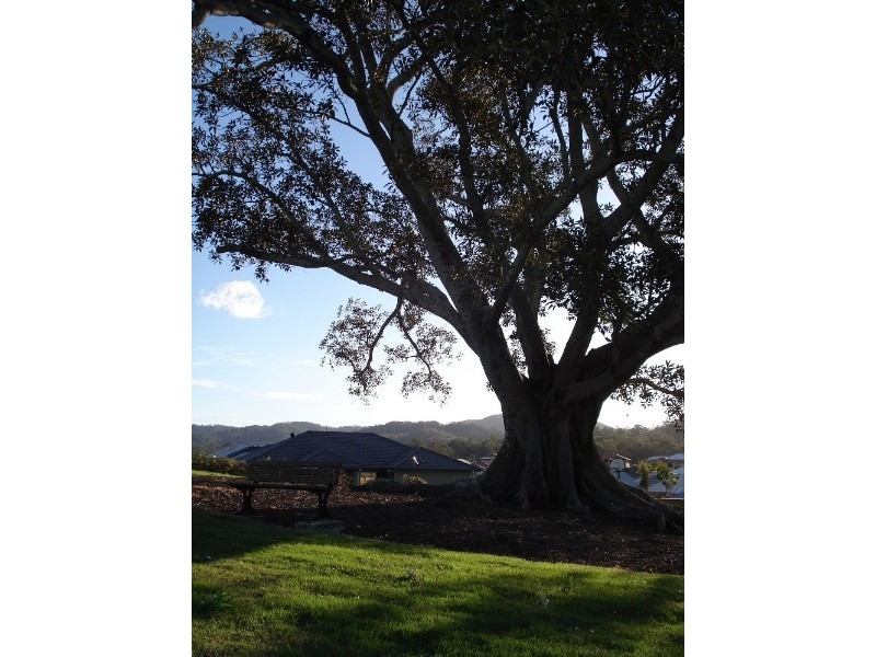 11 Ascent Street, Upper Kedron QLD 4055