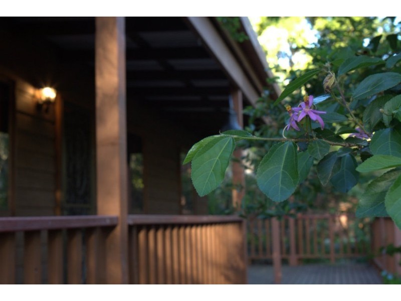 19 Bellerose Street, The Gap QLD 4061