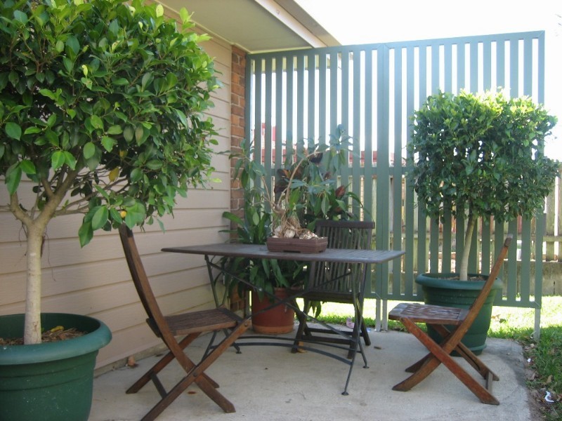 10 Marble Street, Keperra QLD 4054