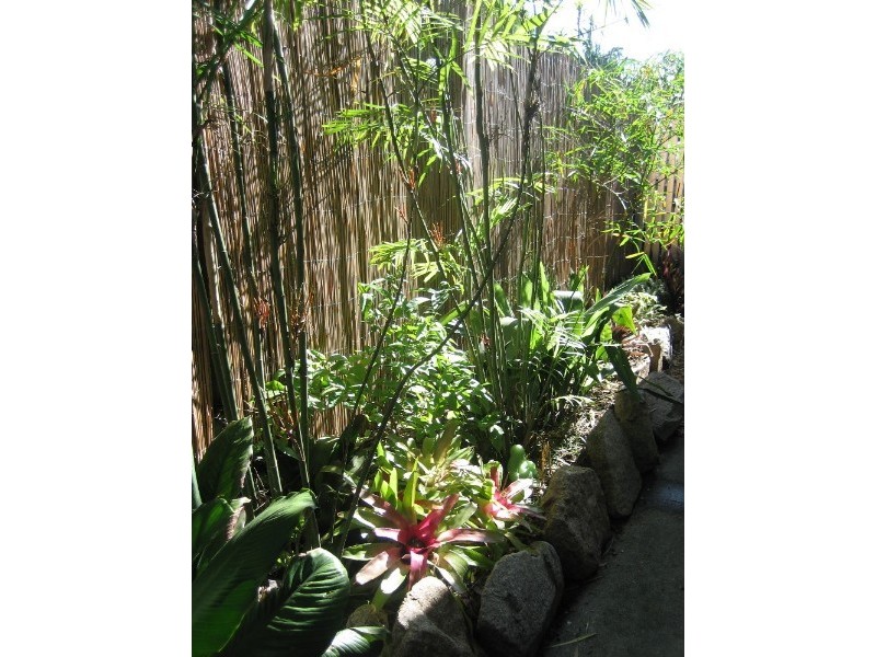 10 Marble Street, Keperra QLD 4054