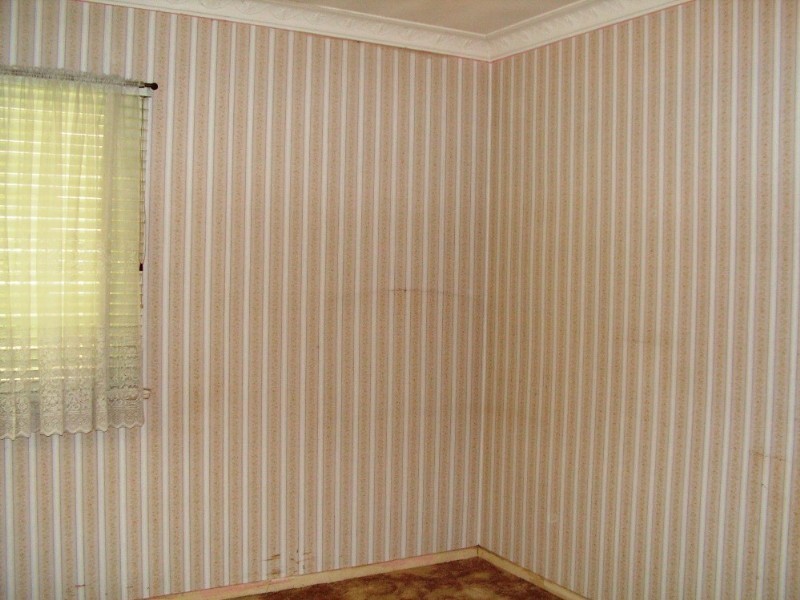 34 Rourke Street, Everton Park QLD 4053