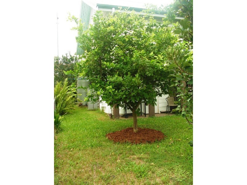 82 Dawson Parade, Keperra QLD 4054