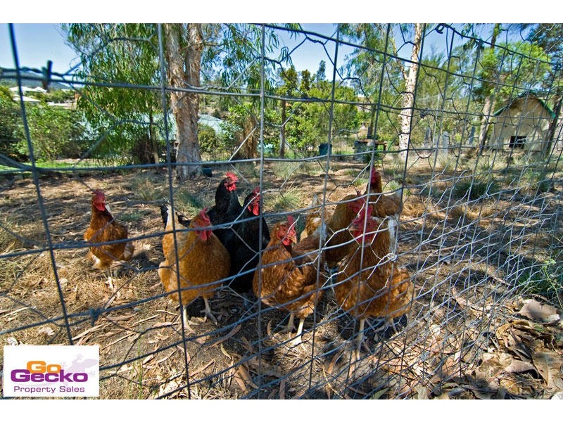 14 Malwood Court, Samford QLD 4520