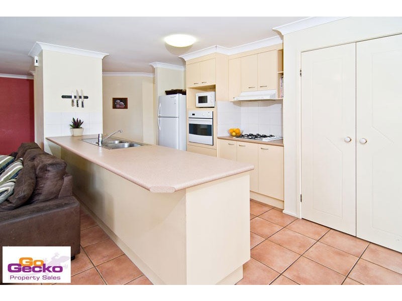 17 Dundee Place, Upper Kedron QLD 4055