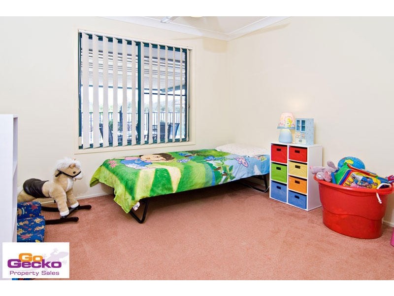17 Dundee Place, Upper Kedron QLD 4055