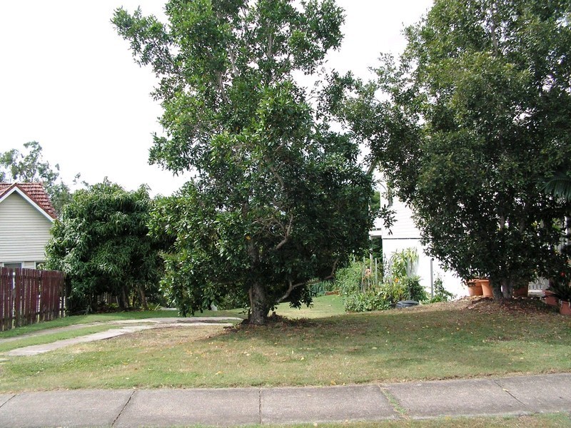 Lot 11 Harwood Street, Bardon QLD 4065