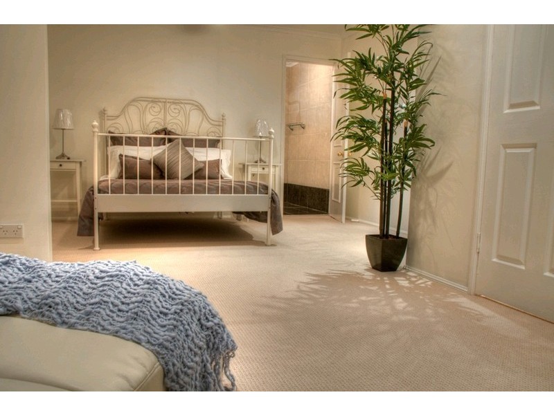 14 Dargie Street, Everton Park QLD 4053