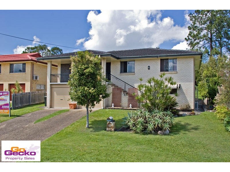 121 Felstead Street, Everton Park QLD 4053