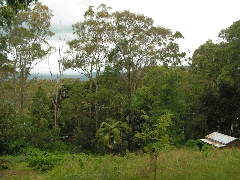 37 Wentworth Avenue, Mount Nebo QLD 4520