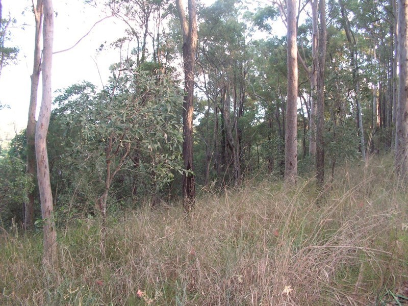 9 Lookout Court, Camp Mountain QLD 4520