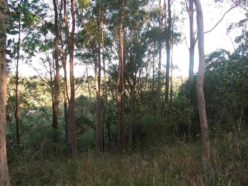 9 Lookout Court, Camp Mountain QLD 4520