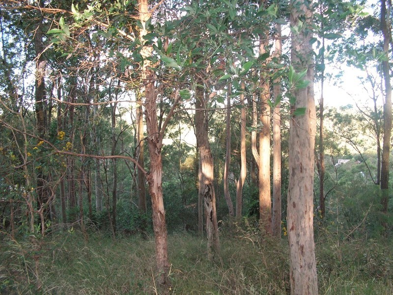 9 Lookout Court, Camp Mountain QLD 4520