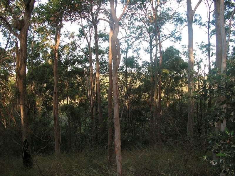 9 Lookout Court, Camp Mountain QLD 4520