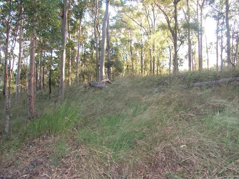 9 Lookout Court, Camp Mountain QLD 4520