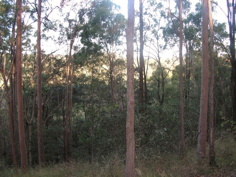 9 Lookout Court, Camp Mountain QLD 4520