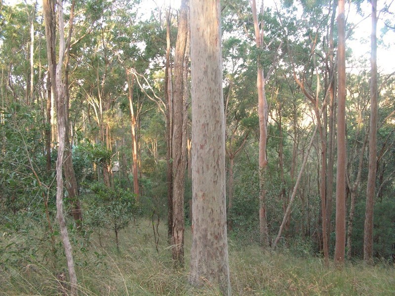 9 Lookout Court, Camp Mountain QLD 4520