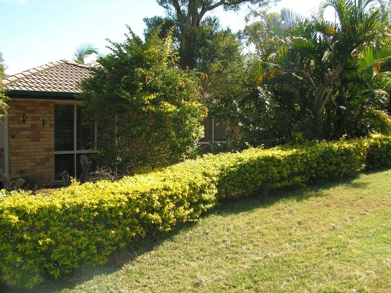 8 Burnett Street, Keperra QLD 4054