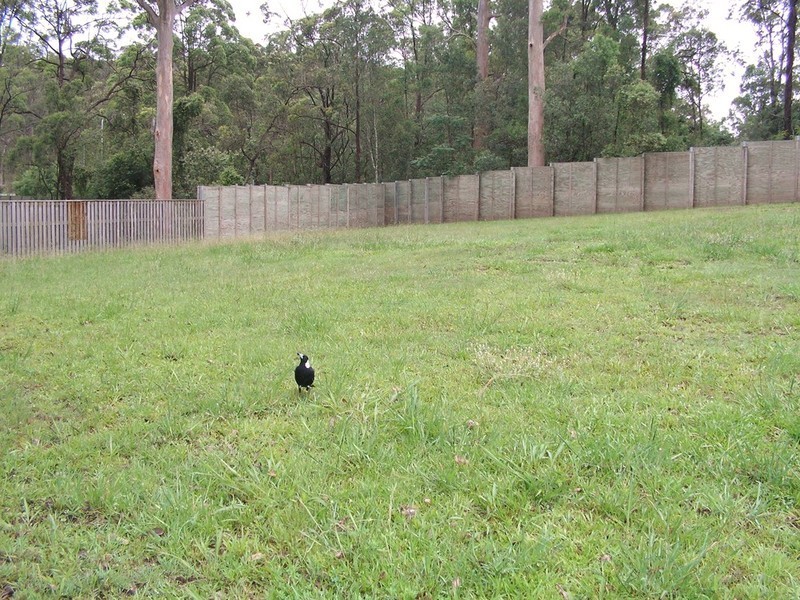 Lot 56/2 Woolshed Street, Ferny Hills QLD 4055