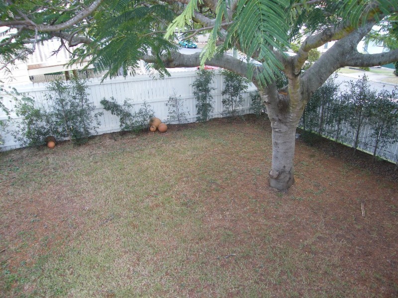 39 Myrtle St, Grange QLD 4051