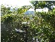 The Gap QLD 4061