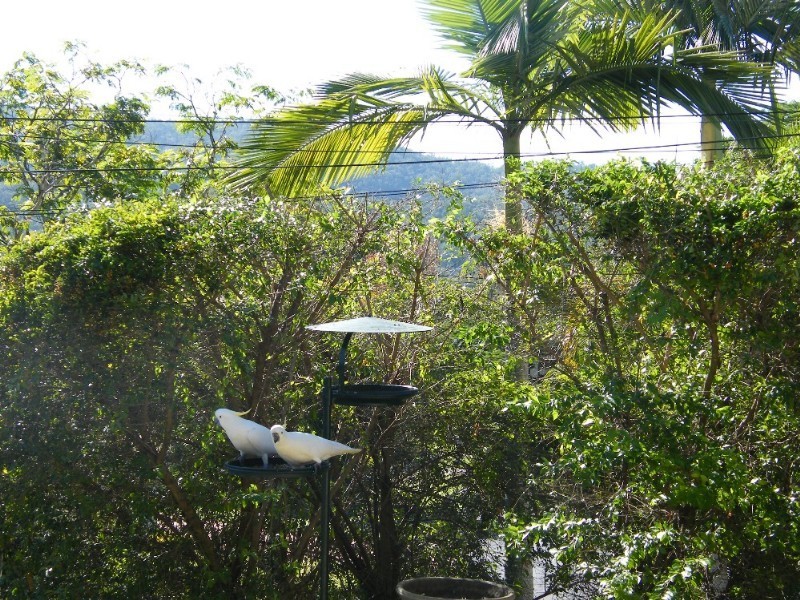 The Gap QLD 4061