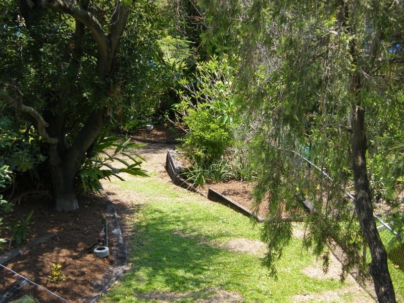 17 Prince Street, Grange QLD 4051