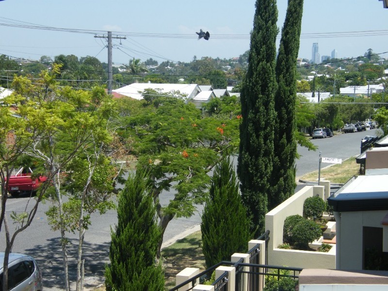 7 Gordon Street, Gordon Park QLD 4031