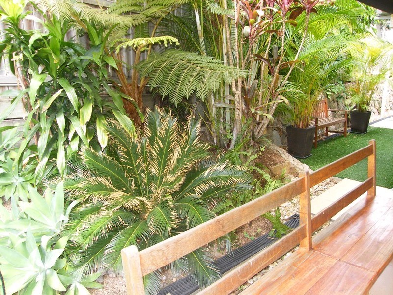 111 Chelford Street, Alderley QLD 4051