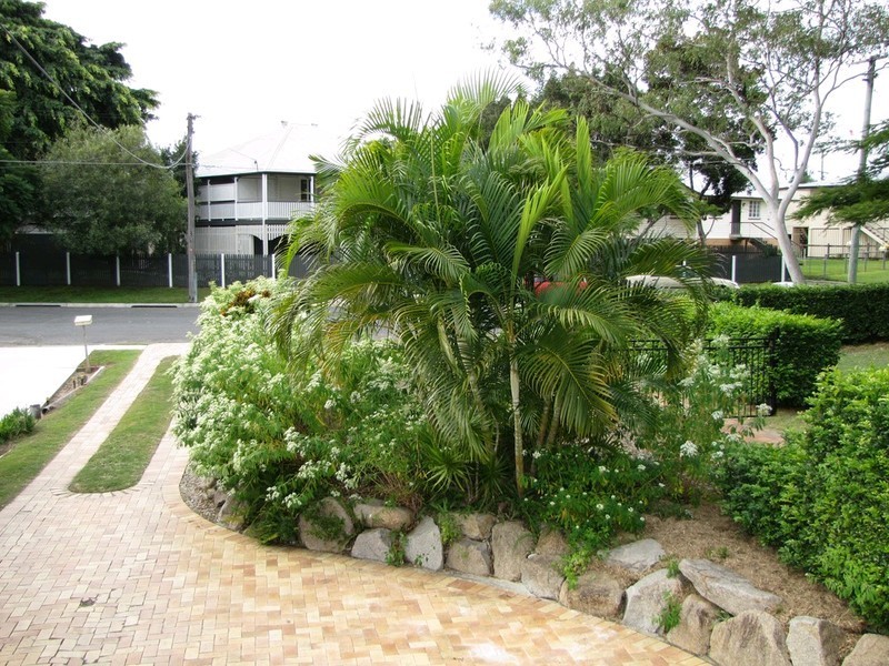 16 Stewart Avenue, Wooloowin QLD 4030