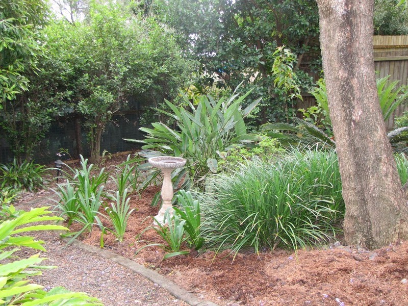 50 Gaunt Street, Newmarket QLD 4051