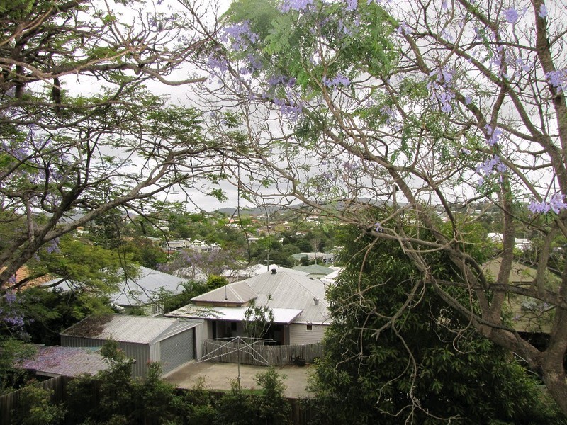 50 Gaunt Street, Newmarket QLD 4051