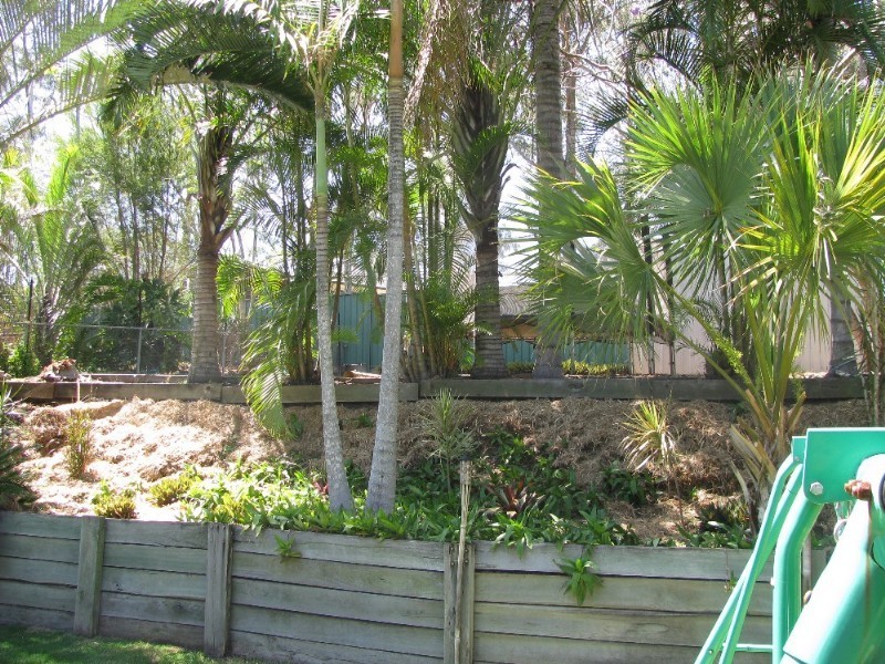 6 Frenchs Road, Petrie QLD 4502