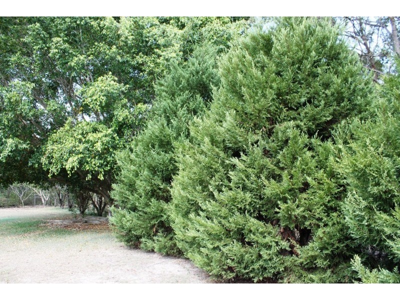 7 Merryn Court, Narangba QLD 4504