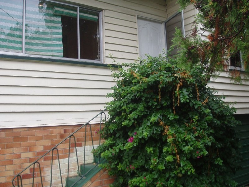 Woolloongabba QLD 4102